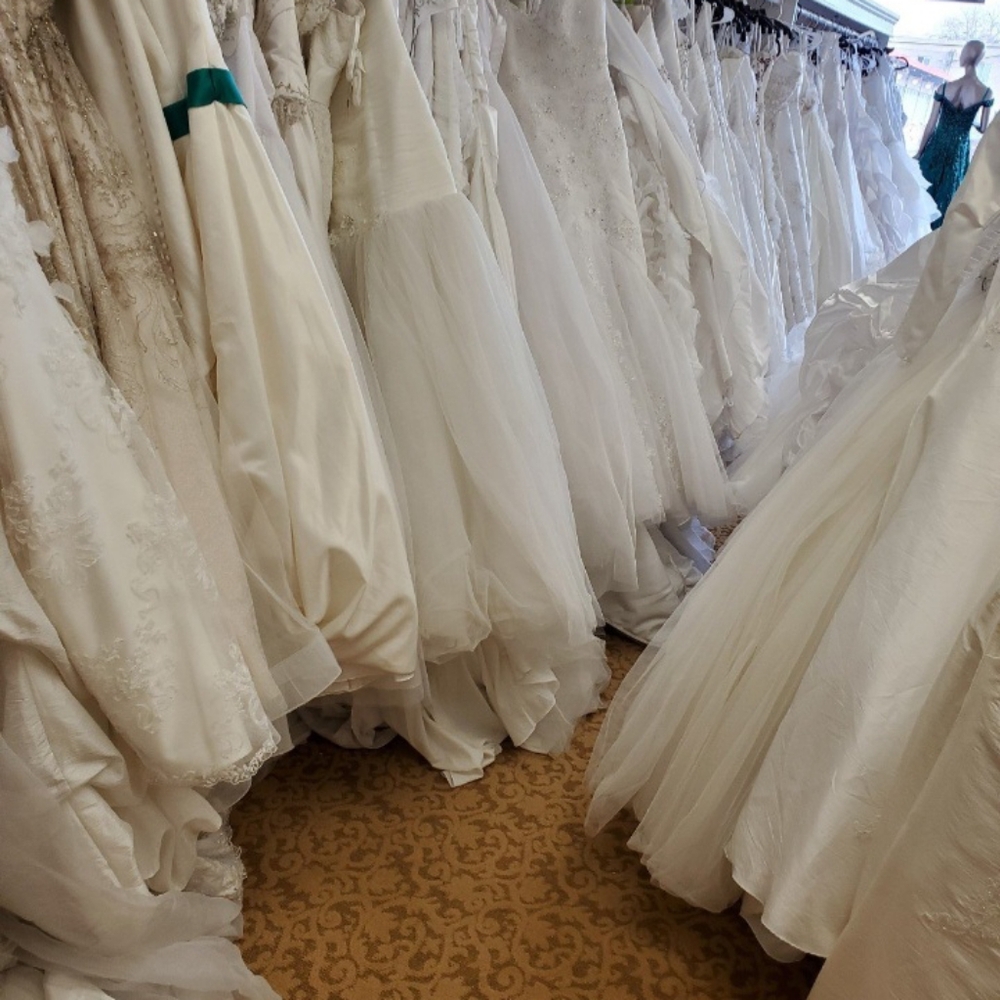 Attention brides to be: Advertisement Only - Picture 5 of 6
